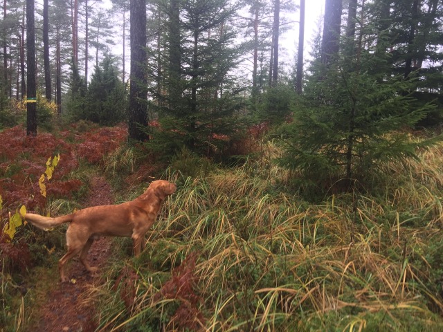 Day 93 – to&nbsp;Kungalv