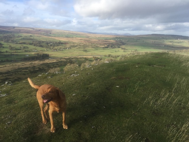 Day 101 – to Bampton&nbsp;Grange