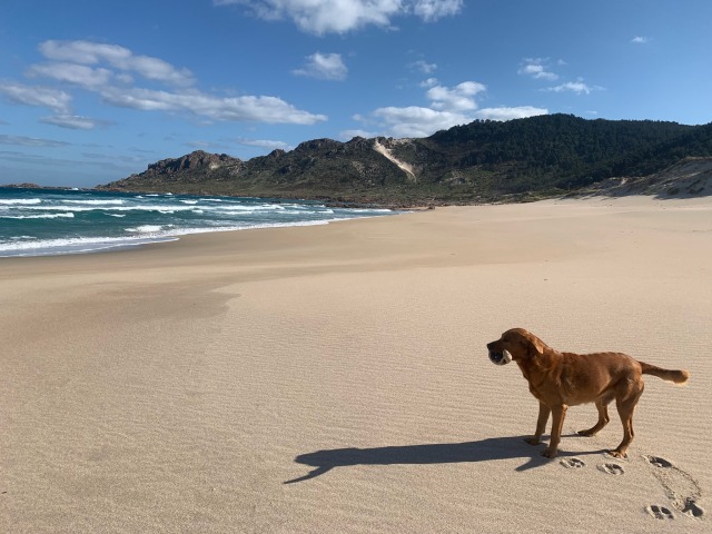 Day 8 – to Moreira&nbsp;Beach