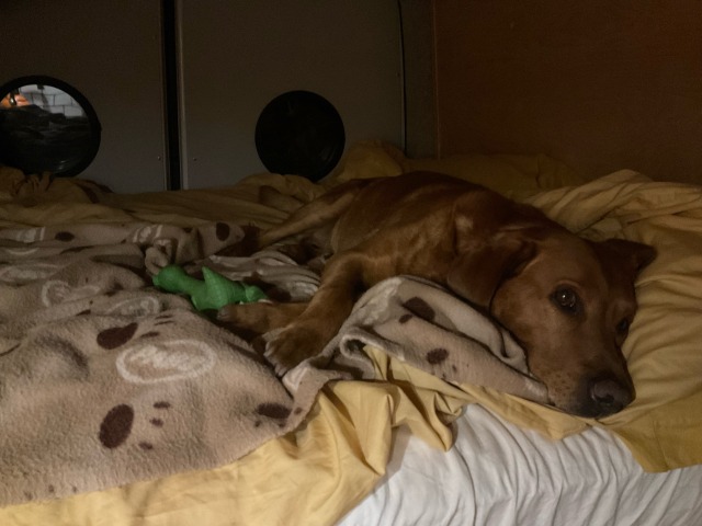 Day 2 – to just outside&nbsp;Bayonne