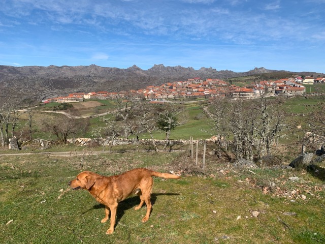 Day 29 – at Pitões das Júnias