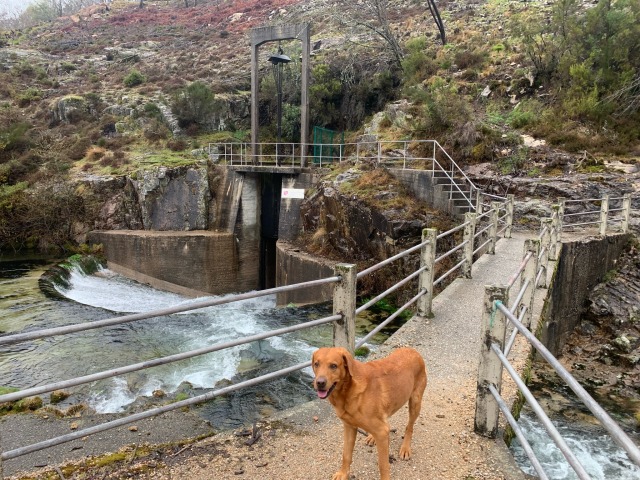 Day 20 – at the museum at Campo de Geres