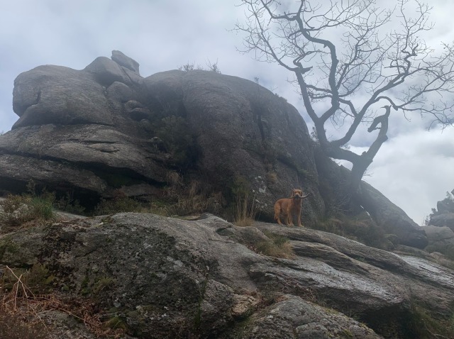 Day 23 – at Rio&nbsp;Arado