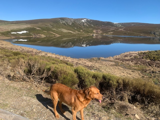 Day 36 – to Rio Truchillas, Truchas, León