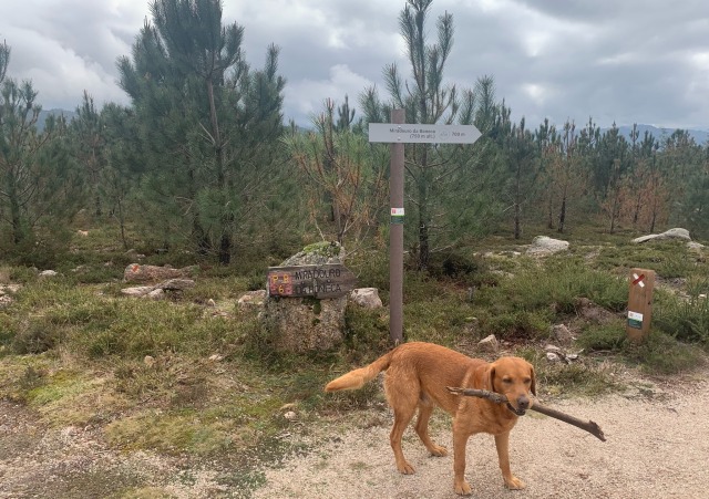 Day 21 – to Terras de Bouro, just up from Campo de Geres