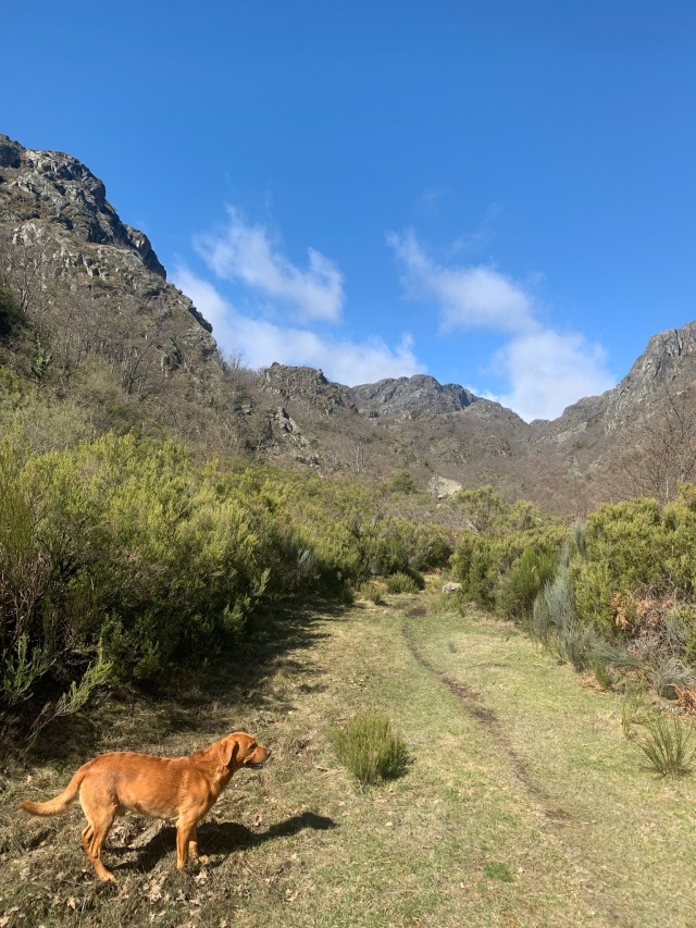 Day 35 – to San Martín de Castañeda