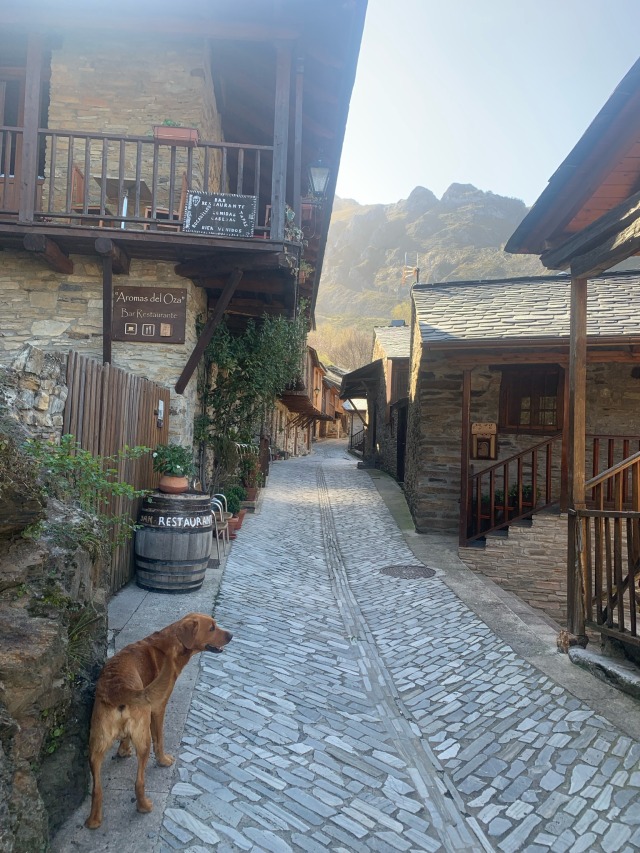 Day 39 – at Peñalba de Santiago