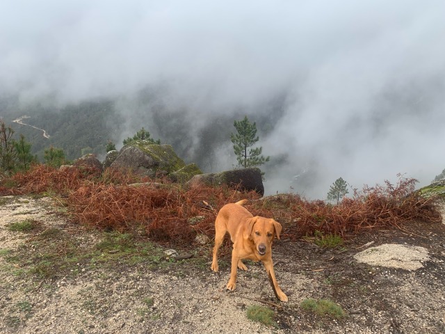 Day 27 – at&nbsp;Fafião