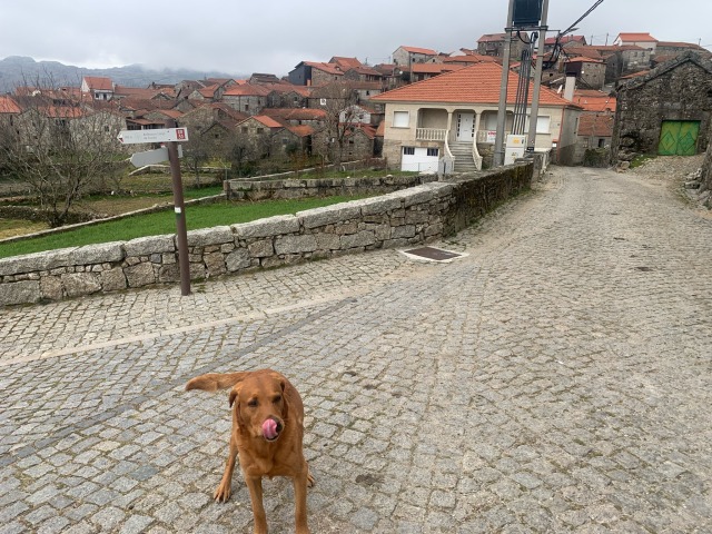 Day 31 – yet again at Pitões das&nbsp;Júnias