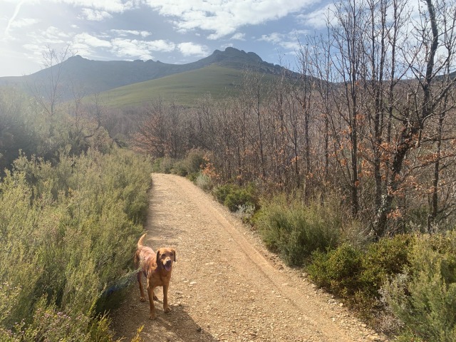 Day 37 – to Rio Truchillas, Truchas,&nbsp;León