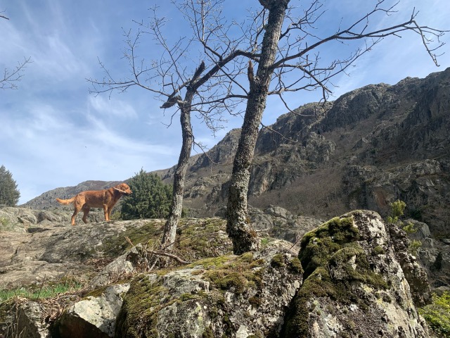 Day 34 – at&nbsp;Ribadelago