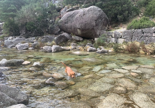 Day 25 – and again at Rio Arado..