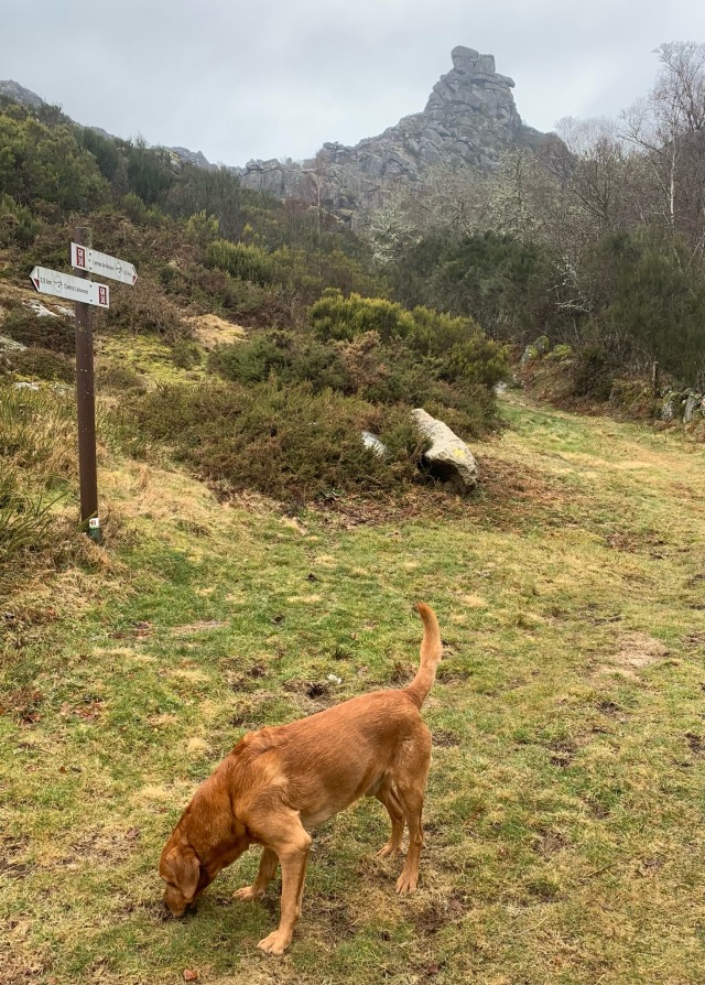 Day 14 – to Gavieira