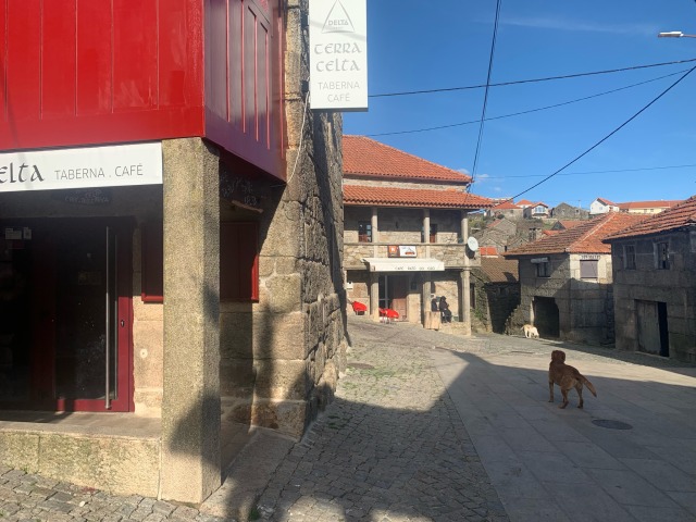 Day 30 – still at Pitões das&nbsp;Júnias