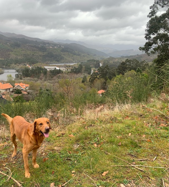 Day 19 – to Campo de Geres