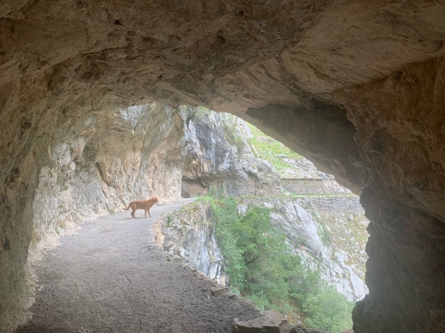 Day 64 – Cares Gorge – then at Posada de&nbsp;Valdeón