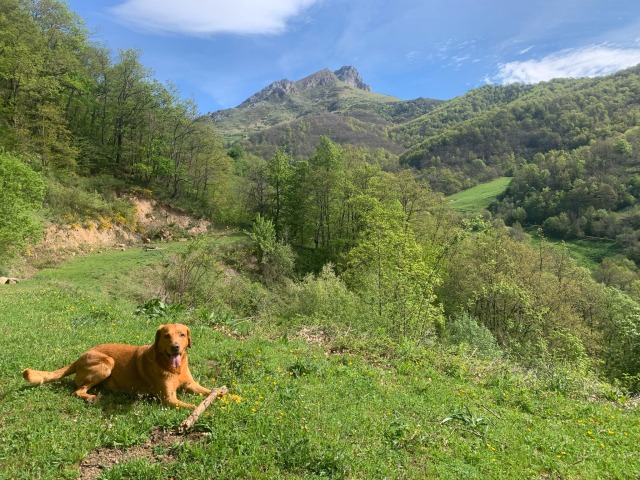 Day 67 – to Santa Maria de&nbsp;Redondo