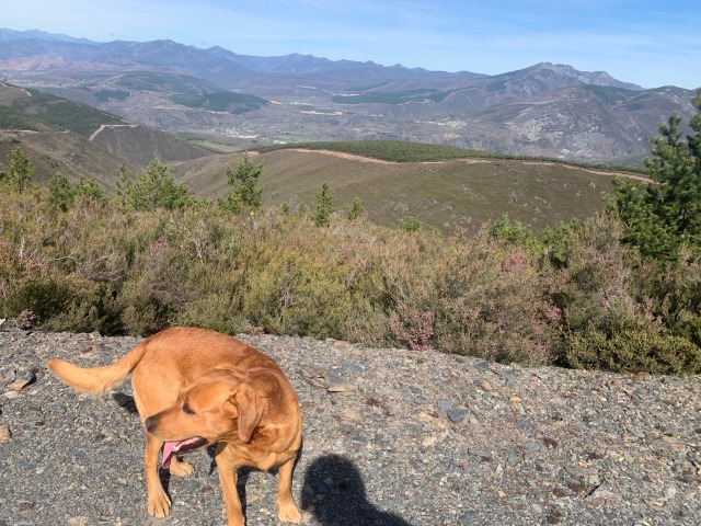 Day 51 – to Villaseca de&nbsp;Laciana