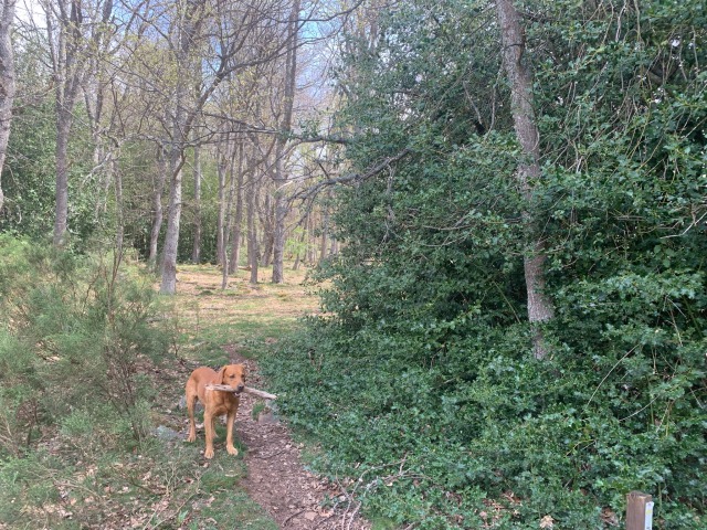 Day 68 – to San Salvador de&nbsp;Cantamuda