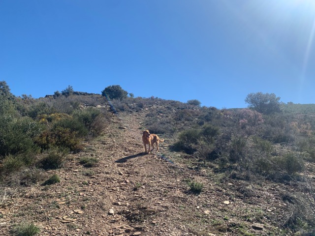 Day 42 – at San Martín de&nbsp;Moreda