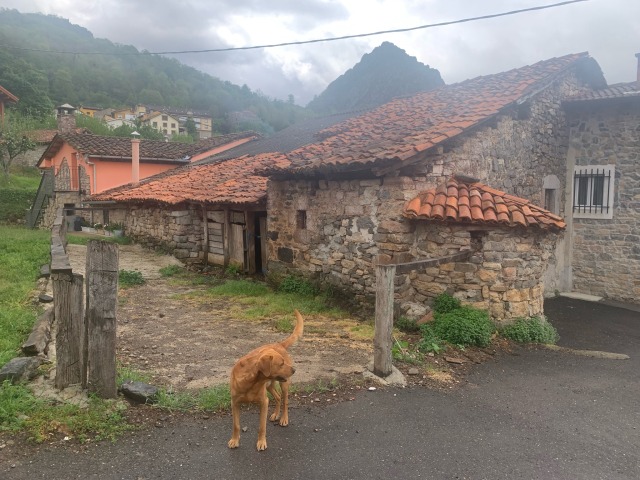 Day 63 – to Posada de&nbsp;Valdeón