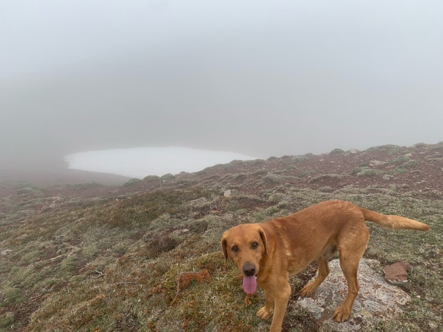Day 69 – above Brañosera (derelict Refugio at 1700&nbsp;metres)