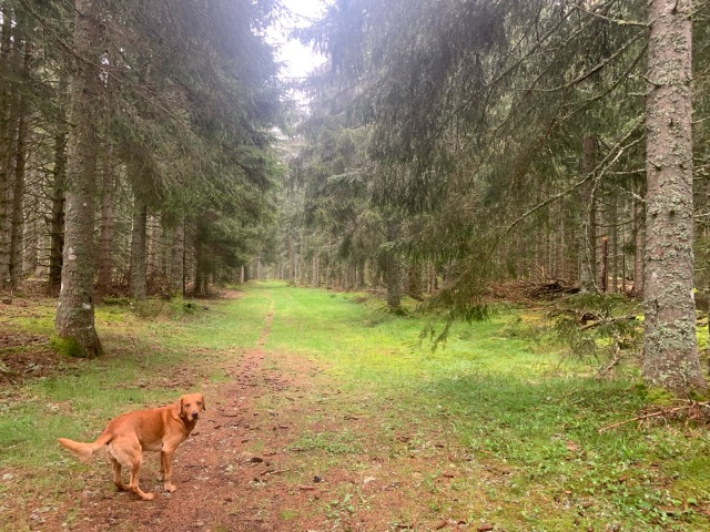 Day 85 – to&nbsp;Job