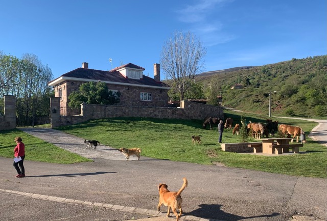 Day 72 – to Murgia (Gorbeia National&nbsp;Park)