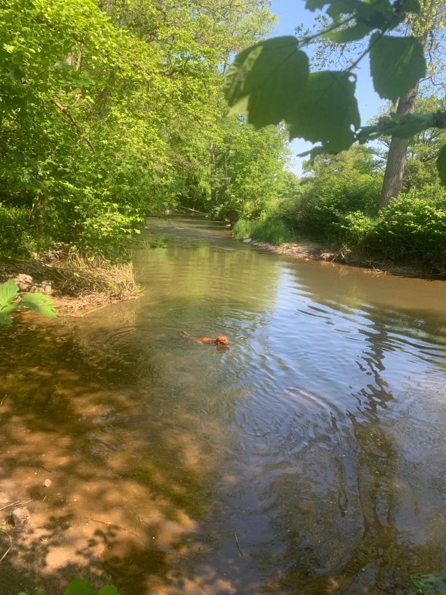 Day 93 – to PAARC Rives de l’Aa,&nbsp;Gravelines