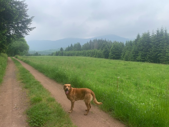 Day 92 – to Bertrix,&nbsp;Belgium