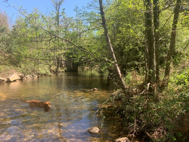 Day 72 – at Murgia (Gorbeia National&nbsp;Park)