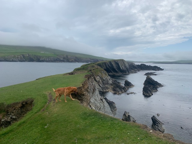 On St Ninian’s&nbsp;Beach