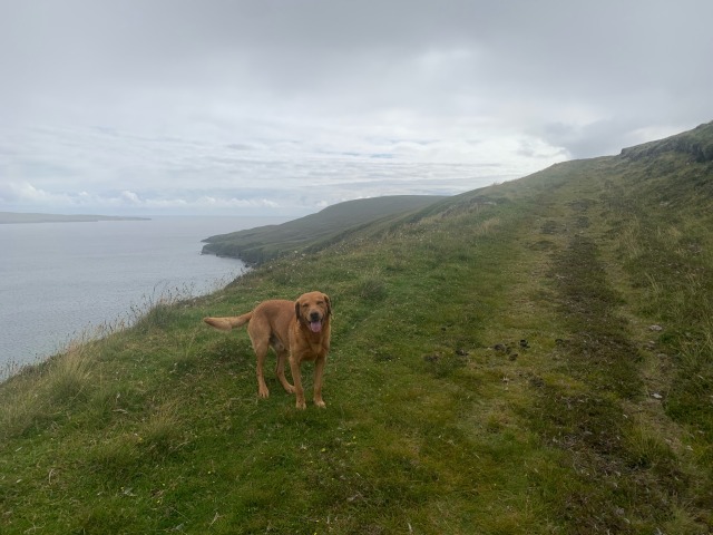 Tresta, Fetlar