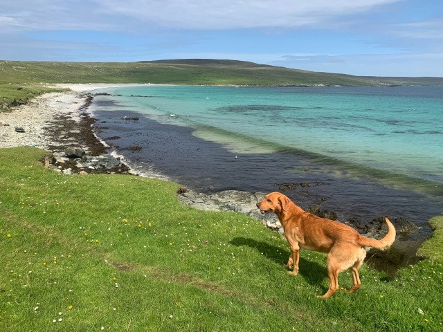 The Lost Village of&nbsp;Framgord