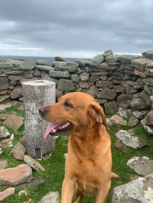 Papa Stour –&nbsp;westside