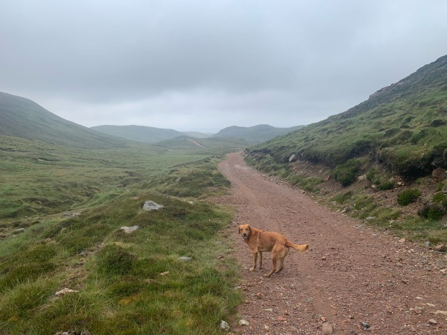 Tough going on Muckle&nbsp;Roe