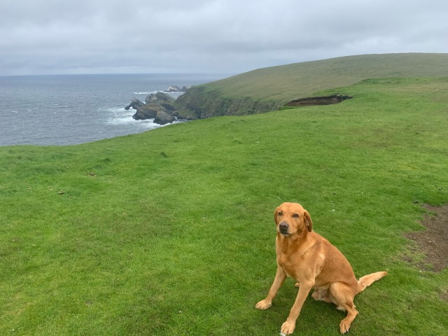 Muckle Flugga – a walk on the wild&nbsp;side