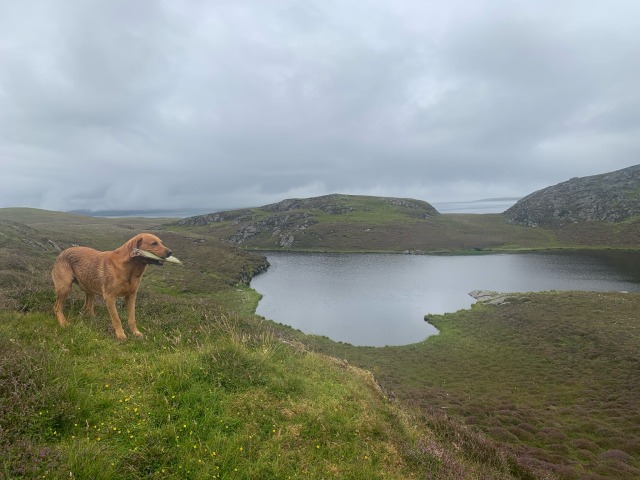 Three days on the Lunna peninsula, and it’s&nbsp;Dumplings
