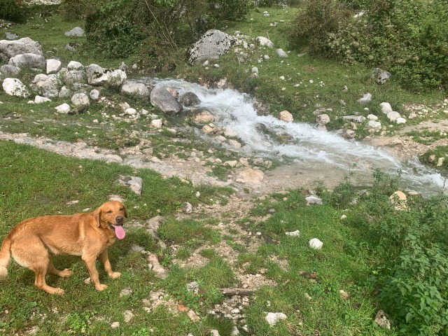 At Krn, Triglav National&nbsp;Park
