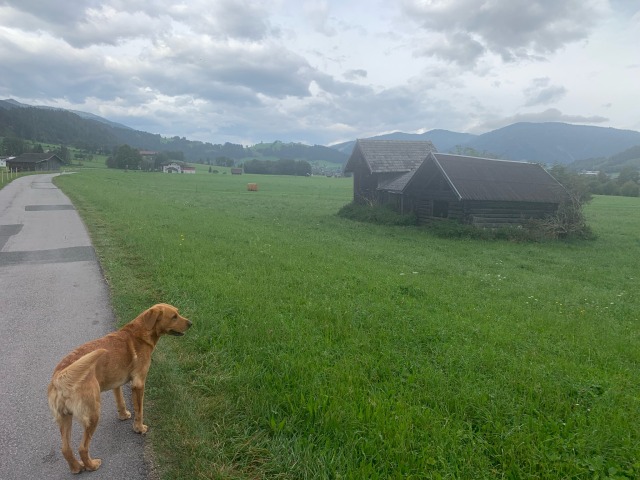 Krn, Triglav National&nbsp;Park