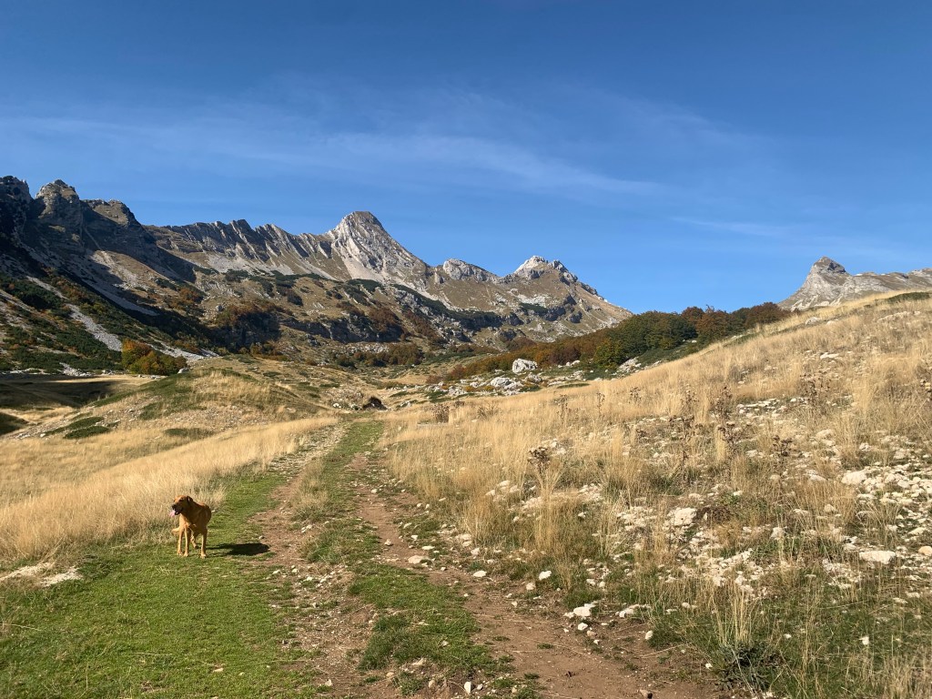 A high valley in the Durmitor.. a day in&nbsp;pictures