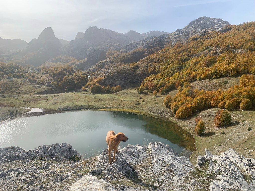 Virpazar, Skadar Lake