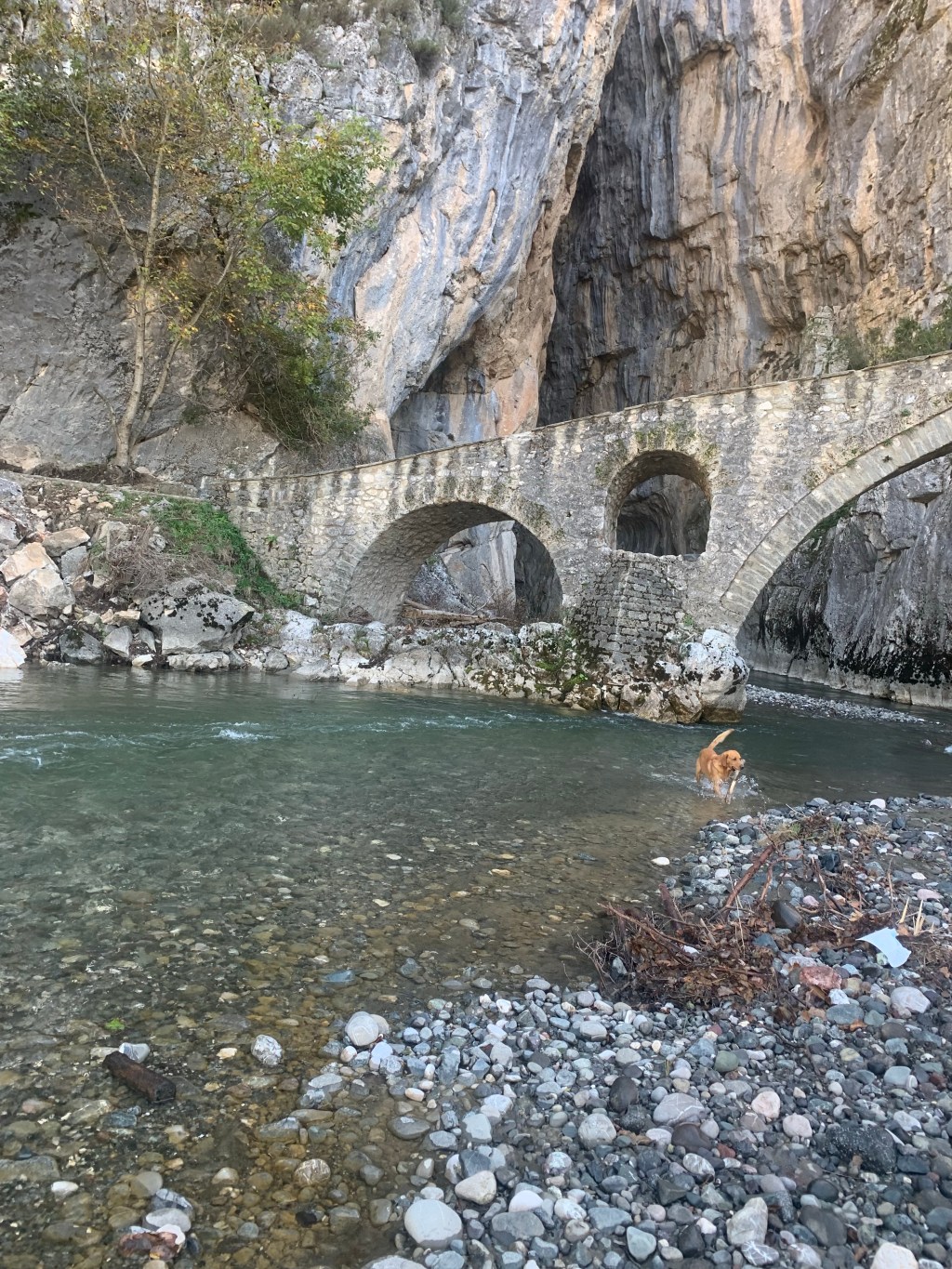 It Waits in the&nbsp;Woods