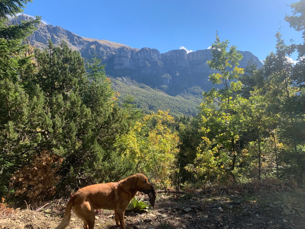 A Journey to a Sacred&nbsp;Grove