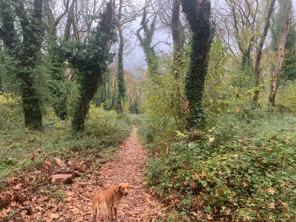 Encounters on the&nbsp;Road