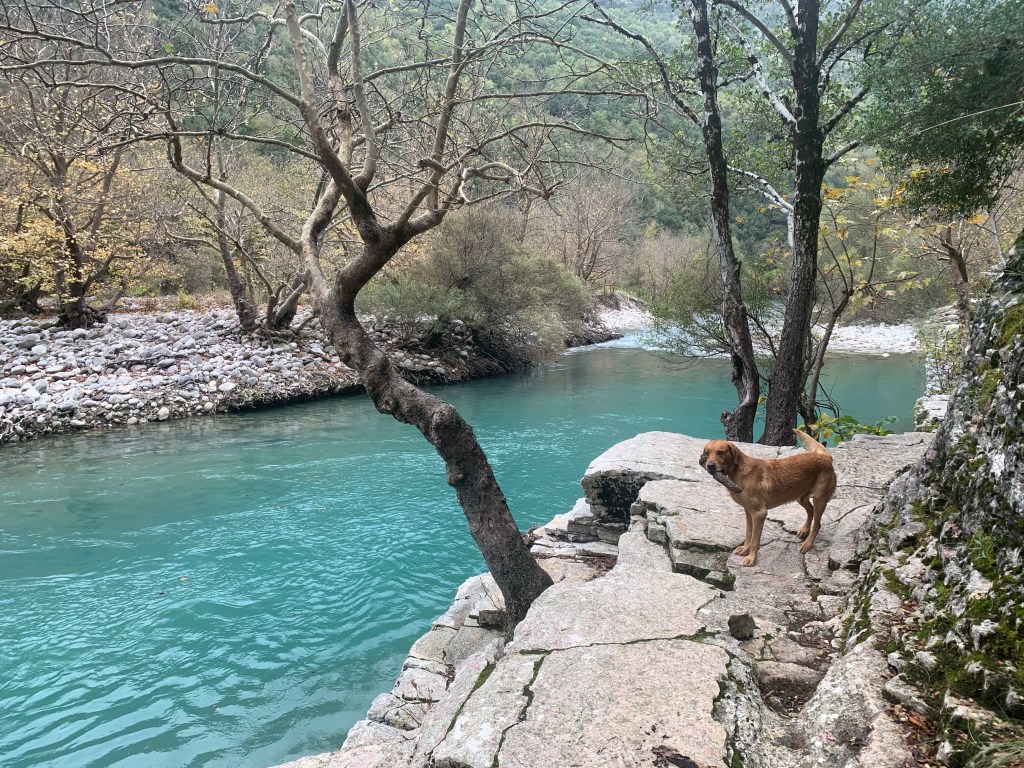A weekend in the Vikos&nbsp;Gorge