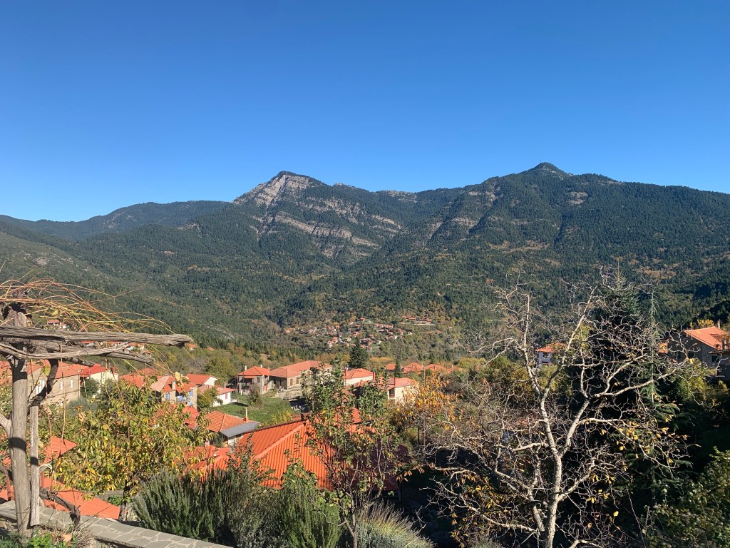 An Impromptu Mushroom&nbsp;Festival