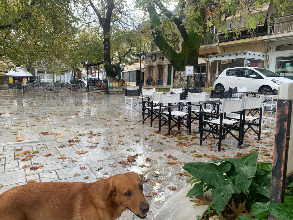 Sitting out the Storm in&nbsp;Karya