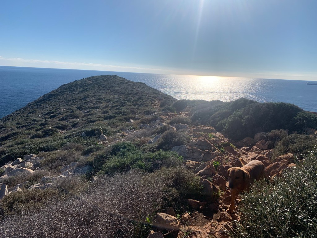 To the Entrance of&nbsp;Hades