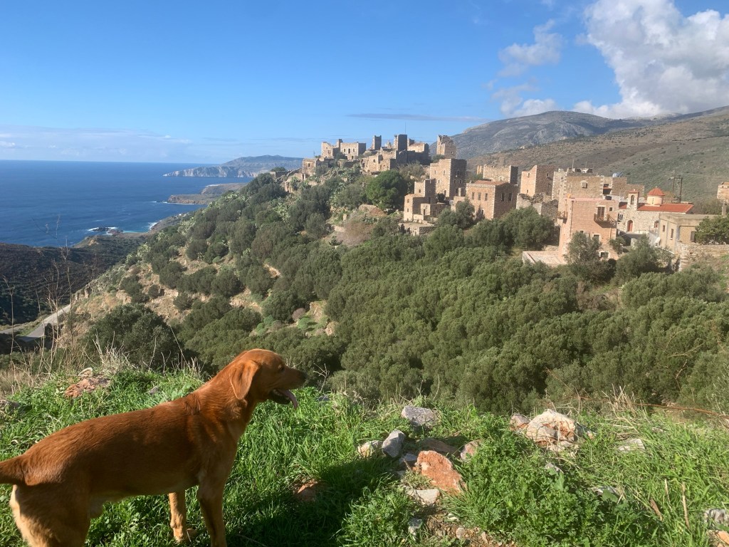 Some days on the middle&nbsp;finger..